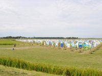 Land – Art Project in Sloten