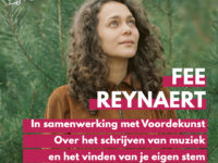 DM#95 Dichter/Songwriter Fee Reynaert over je eigen stem vinden, hulp vragen en een album opnemen