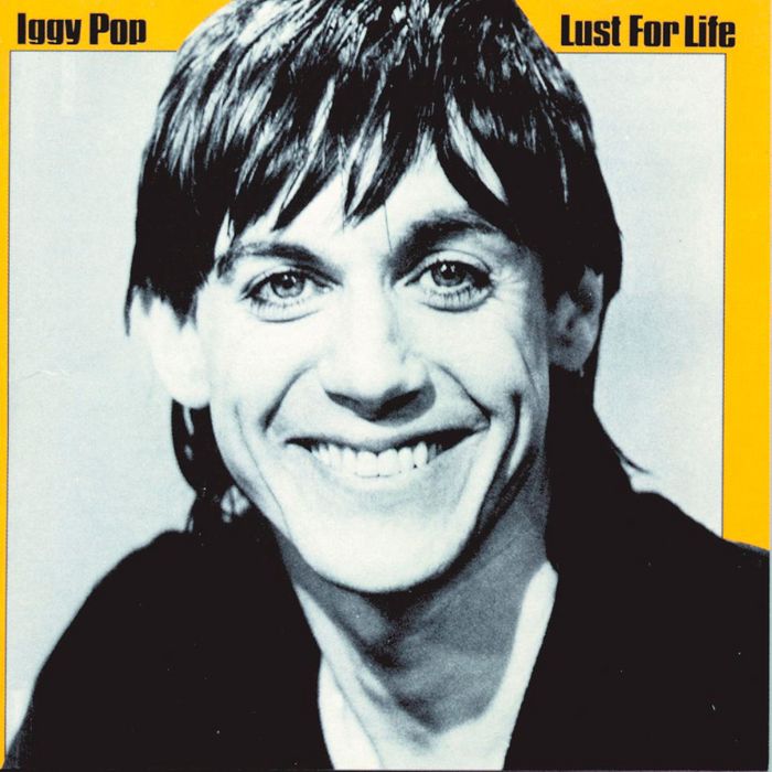 Afbeeldingsresultaat voor iggy pop exhibitionist